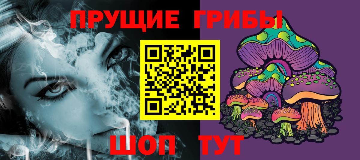 Псилоцибиновые грибы Psilocybine cubensis Тамбов
