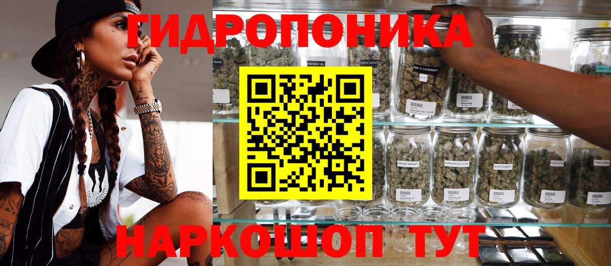 Марихуана Ganja  Вход с VPN  Тамбов  Конопля семена  Каннабис планчик 